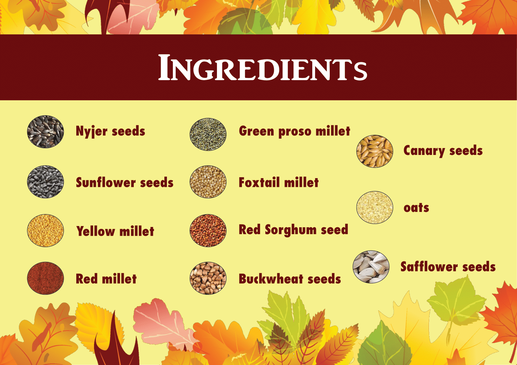 Medium Bird Cage with Accessories - Image 3